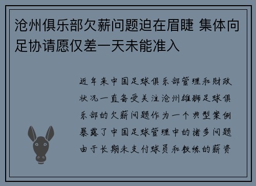 沧州俱乐部欠薪问题迫在眉睫 集体向足协请愿仅差一天未能准入