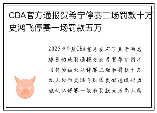 CBA官方通报贺希宁停赛三场罚款十万史鸿飞停赛一场罚款五万